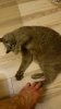 IMG_20250901_002733_960.jpg