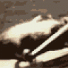 YourBunnyWrote