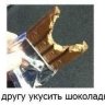 DodikX