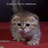 Гендольф Серый