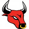 Bull333
